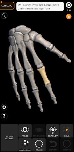 Esqueleto | Anatomia 3D para PC