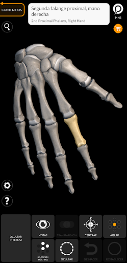 Esqueleto | Anatomía 3D PC