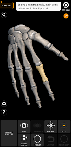 Squelette | Anatomie 3D PC