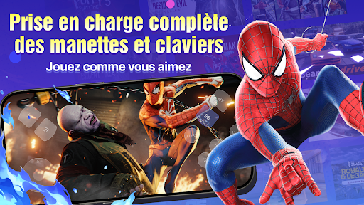 Jeu PC CATO Cloud Game PC