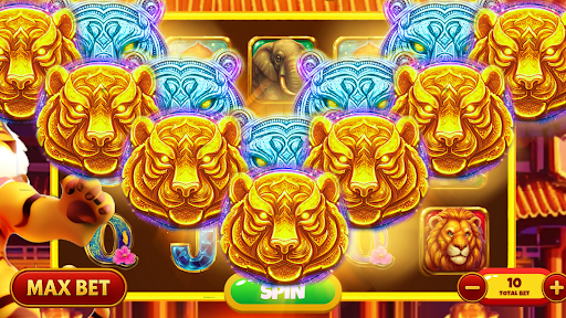 Divine Reels پی سی