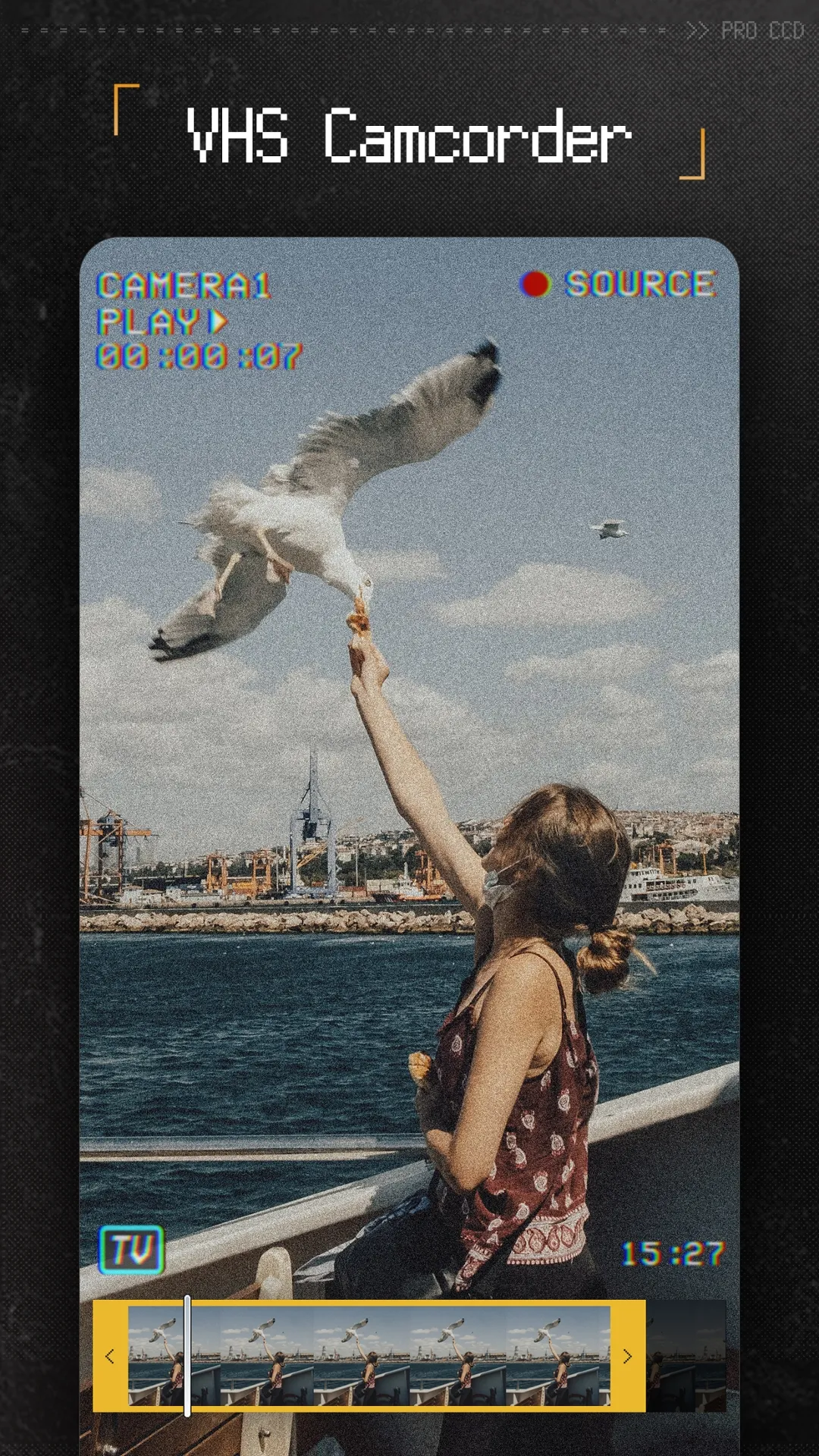 ProCCD - Retro Digital Camera PC