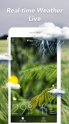 Weather Forecast: Live Weather PC