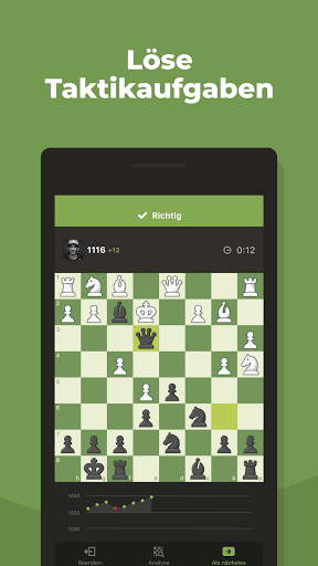 Schach - Spielen und Lernen PC