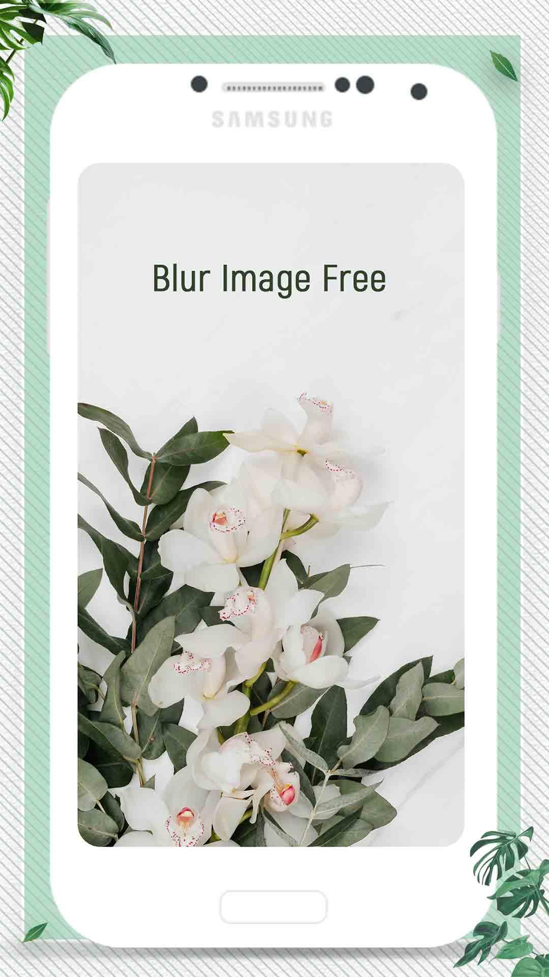 Blur Image Free PC