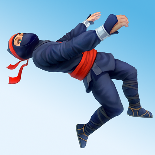 Ninja Flip PC