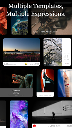 OneLine：กรอบ EXIF และลายน้ำ PC