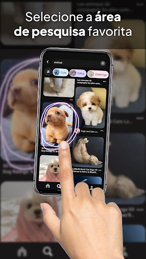 Circular para Pesquisar com AI para PC