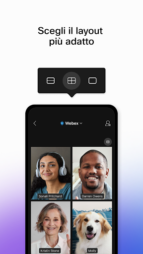 Cisco Webex Meetings