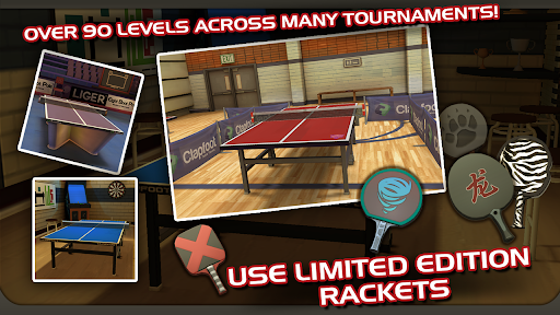 Ping Pong Masters
