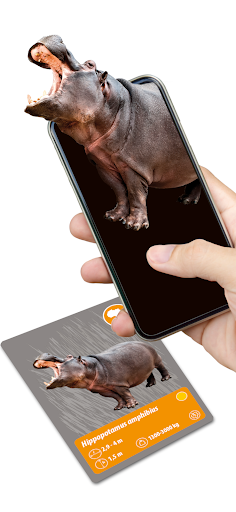 Animaux de la planète Terre PC