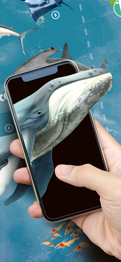 Animaux de la planète Terre PC