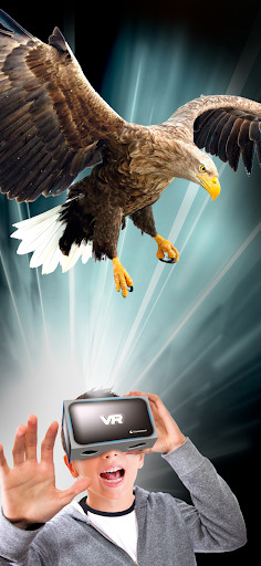 Animaux de la planète Terre PC