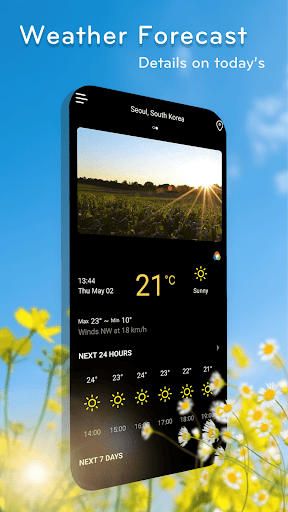 Weather