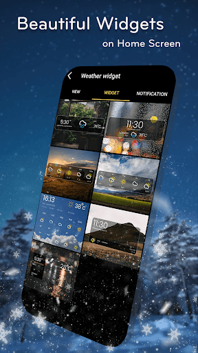 Weather