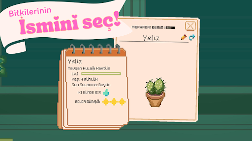 Window Garden - Lofi Idle Game PC