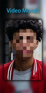 Video Mosaic & Green Screen PC