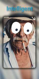 Video Mosaic & Green Screen PC