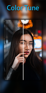 Video Mosaic & Green Screen PC