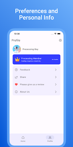 Processing IDE PC版
