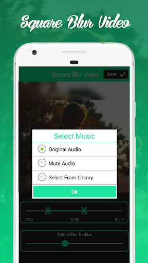 Blur Video, Blur Square Video, PC