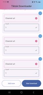 Tiktok Downloader PC