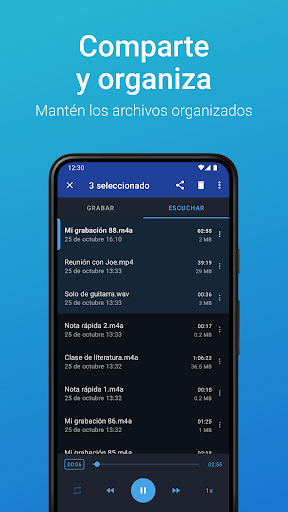 Grabadora de Voz Fácil