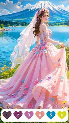 Gown Color - Paint by Number PC