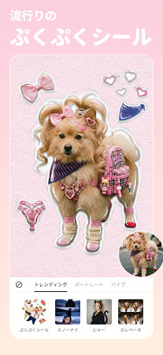 BeautyPlus-自撮りカメラ、写真加工、年賀状