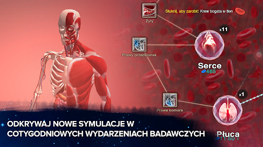 Ewolucja nigdy się nie kończy