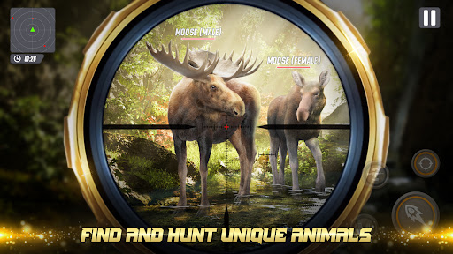 The Hunter - Deer hunting game