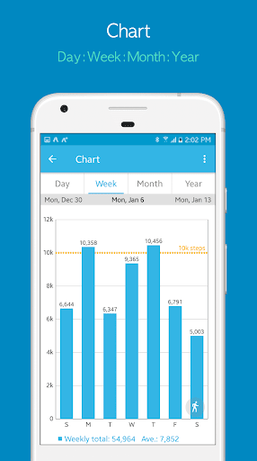 Accupedo Pedometer PC