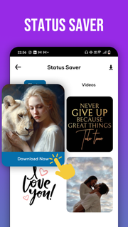 Video Downloader - Story Saver PC