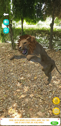 AR Animals PC