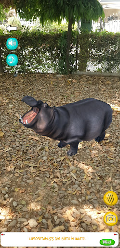 AR Animals PC