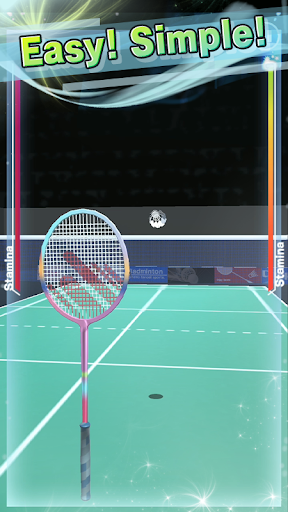 Badminton3D Real Badminton PC
