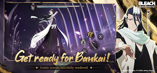 BLEACH: Soul Resonance PC