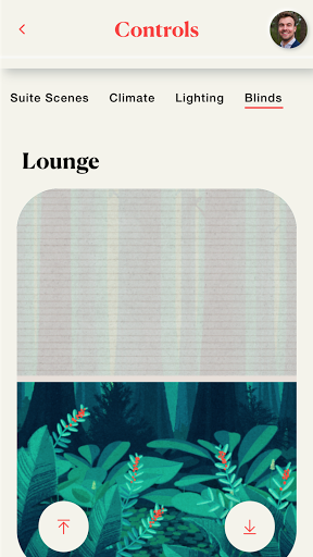 Cuber Suites para PC