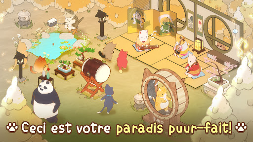 Cat Garden - Miaouster Chef PC