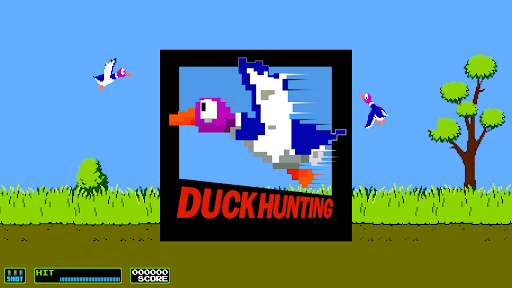 Duck Hunting PC