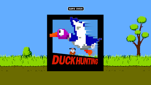 Duck Hunting PC