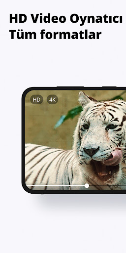 Galeri - Fotoğraf, Albüm PC