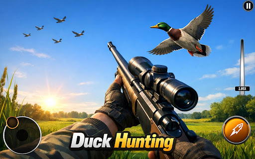 Duck Hunting Shooting Games 3D