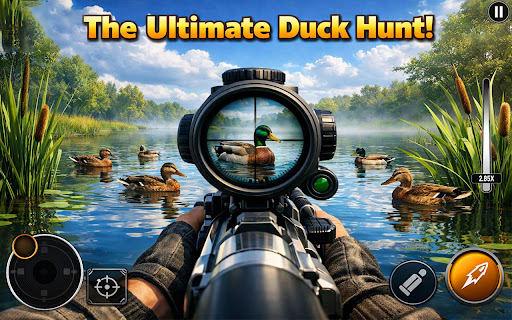 Duck Hunting Shooting Games 3D