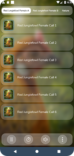 komputer Red Junglefowl Female Call HD