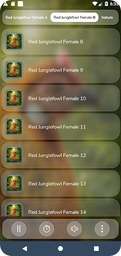 komputer Red Junglefowl Female Call HD