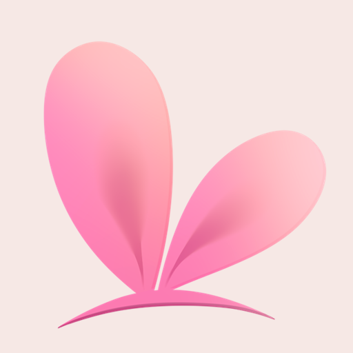 VTube Studio پی سی