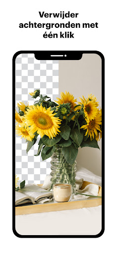 Grafisch Ontwerp: VistaCreate PC