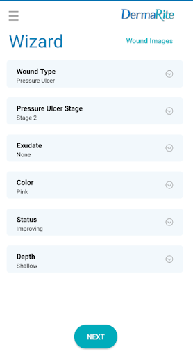 LHC Group Wound Dressing Guide PC