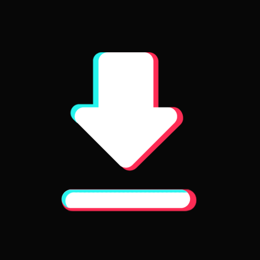 TT Video Download No Watermark PC